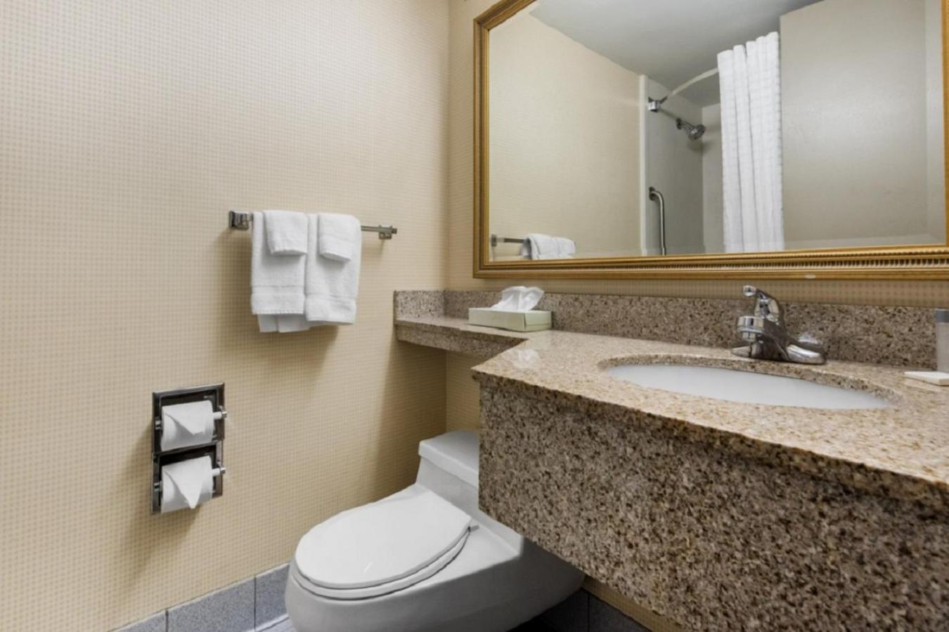Quality Inn & Suites Charleston - Civic Center Eksteriør bilde