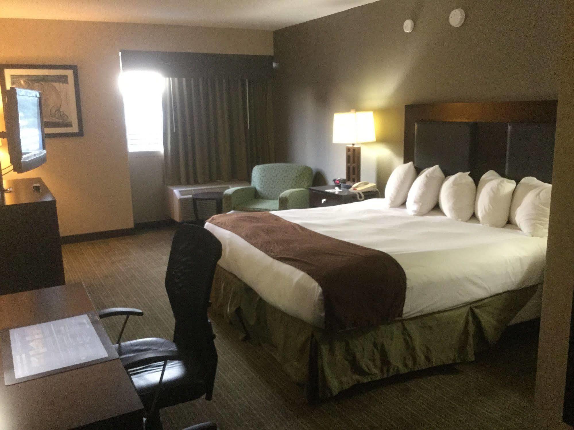 Quality Inn & Suites Charleston - Civic Center Eksteriør bilde